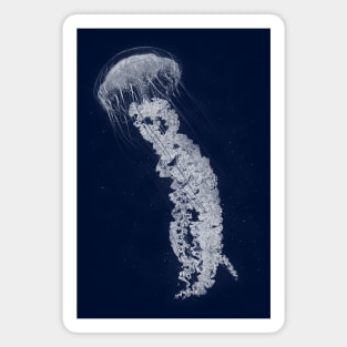 Jellyfish Magnet